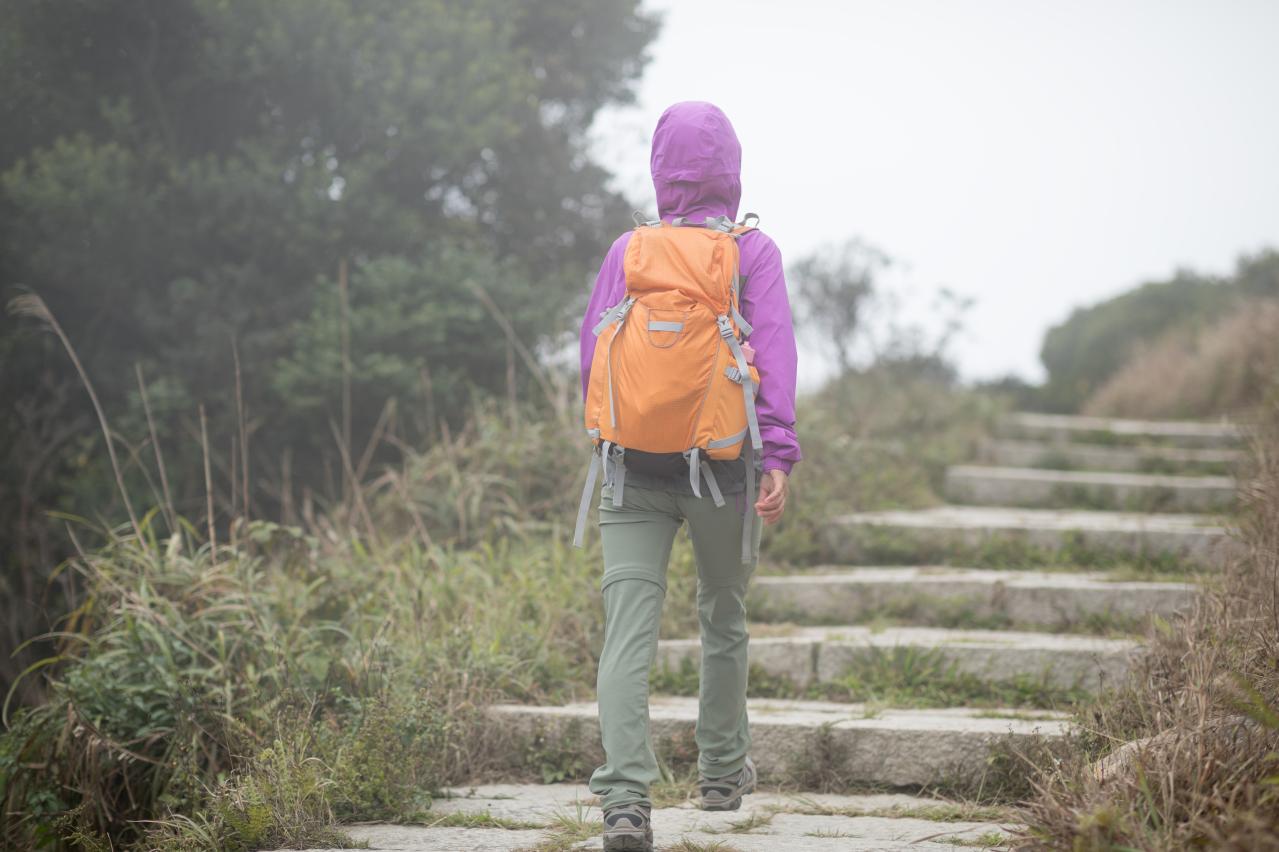 【山でのゾッとした体験記】登りなれた山で「こっちのルートも良さそう…」その軽い気持ちが招いた結末は…！？