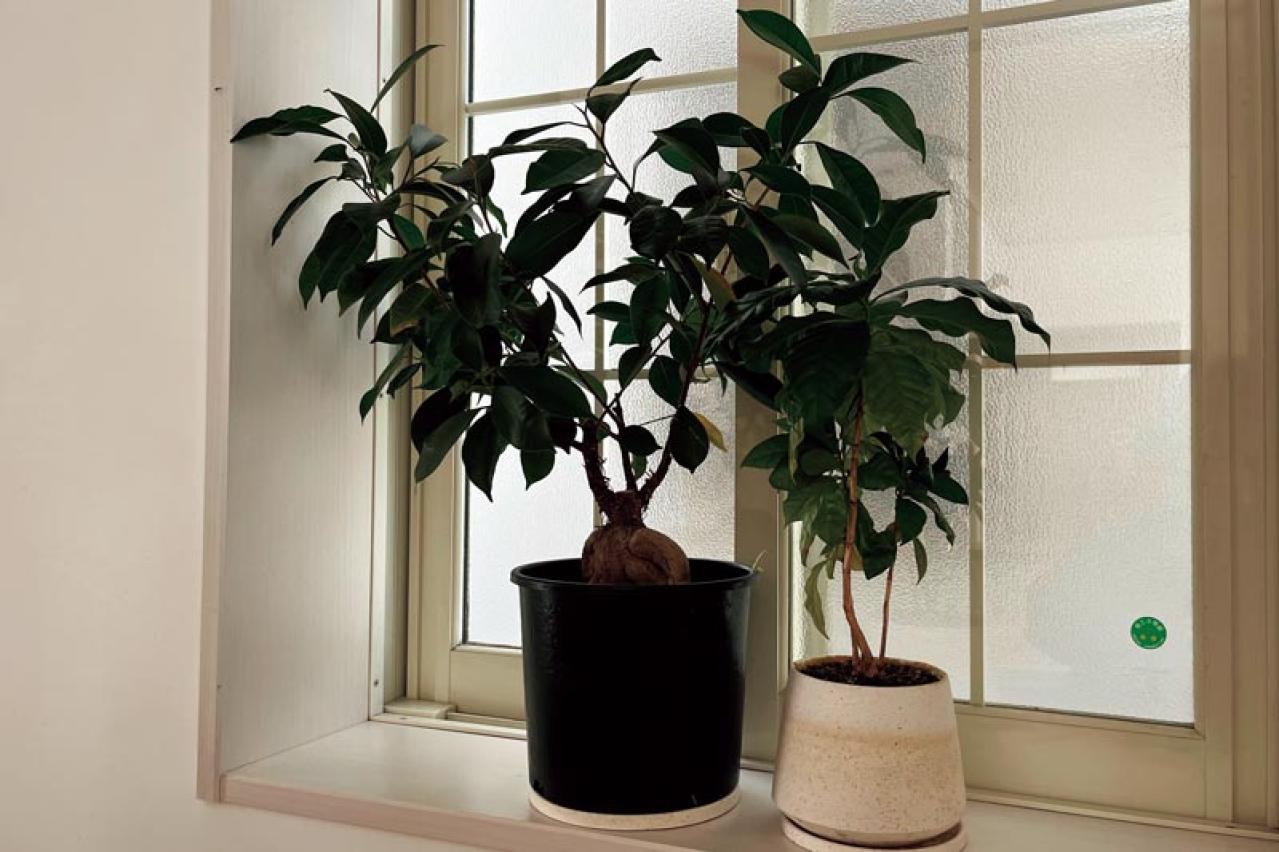 「家族以外は何もいらない」物だらけの一戸建てからミニマリストに転身。まず最初に捨てたものは？（画像5）