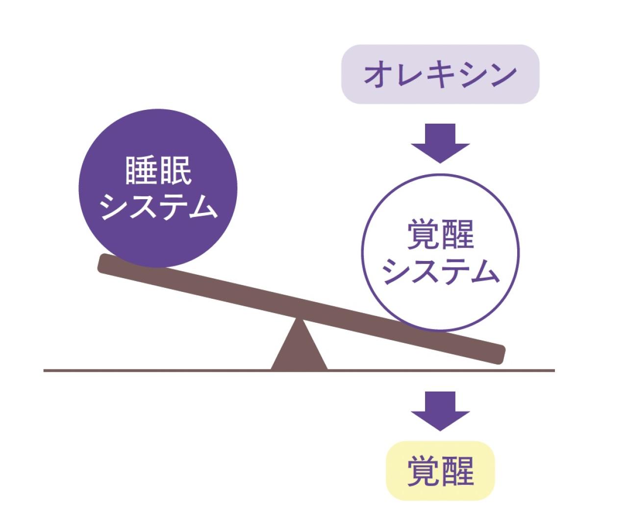  眠れない夜に終止符！睡眠薬に頼らない新常識と【快眠のための9か条】（画像3）