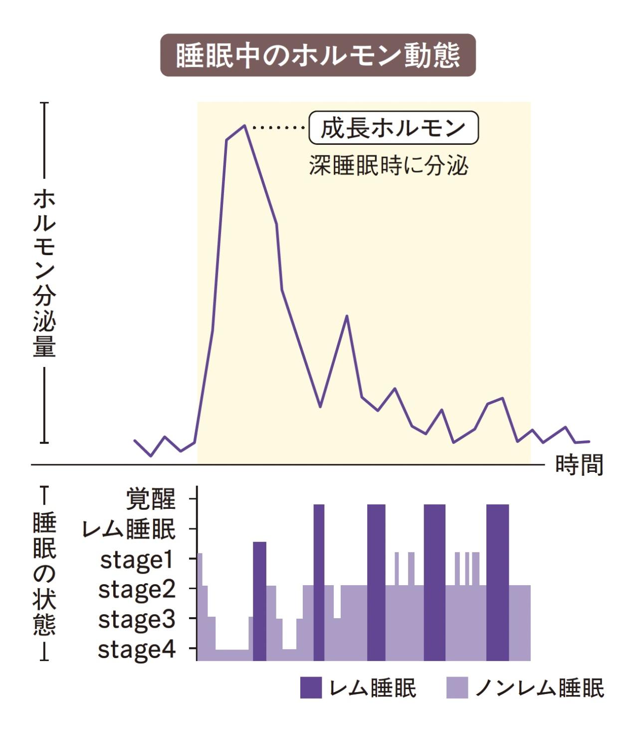 寝つきの悪さは「体内時計のズレ」が原因かも!? 多くの人が勘違いしている「睡眠の質と時間の関係性」（画像3）