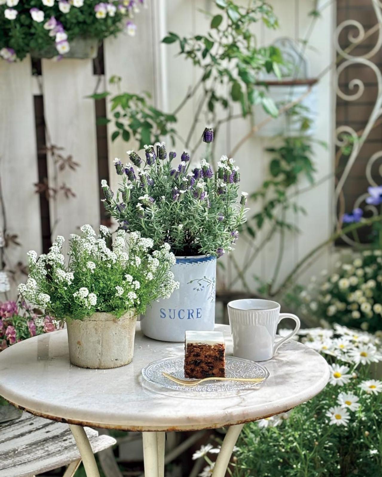 13㎡のベランダが華麗に変身！DIYとフレッシュハーブ、ホワイトコーデで楽しむベランダガーデン（画像3）