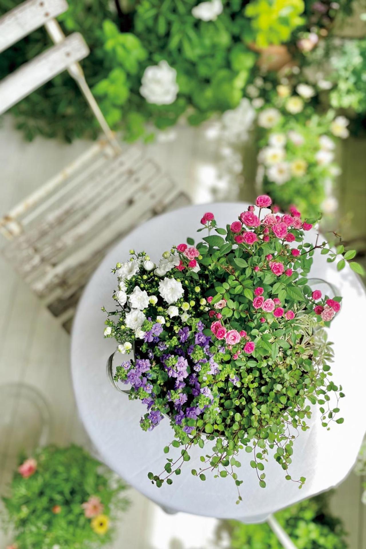 「どこを切り取っても大人かわいい！」DIYで作るフレンチシックなベランダの秘密！（画像8）