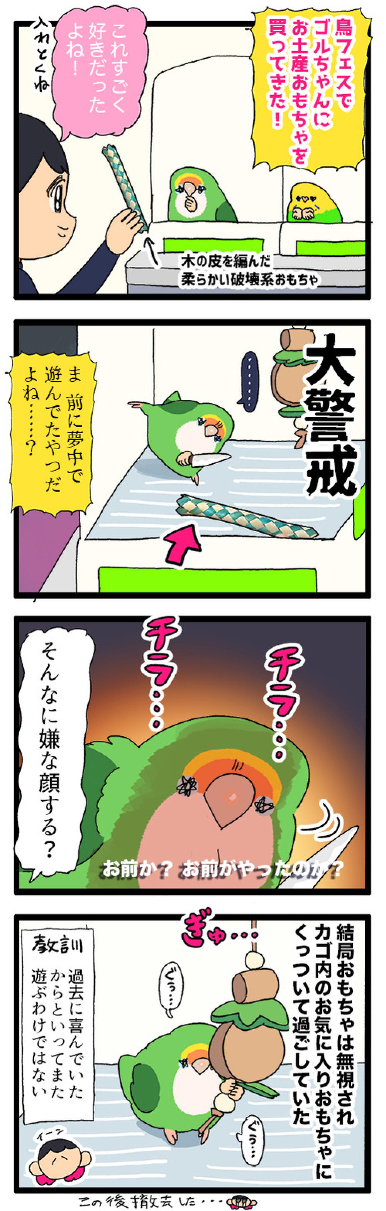 インコが好きそうなおもちゃをリピートしたら…？【鳥マンガ＃92】（画像8）