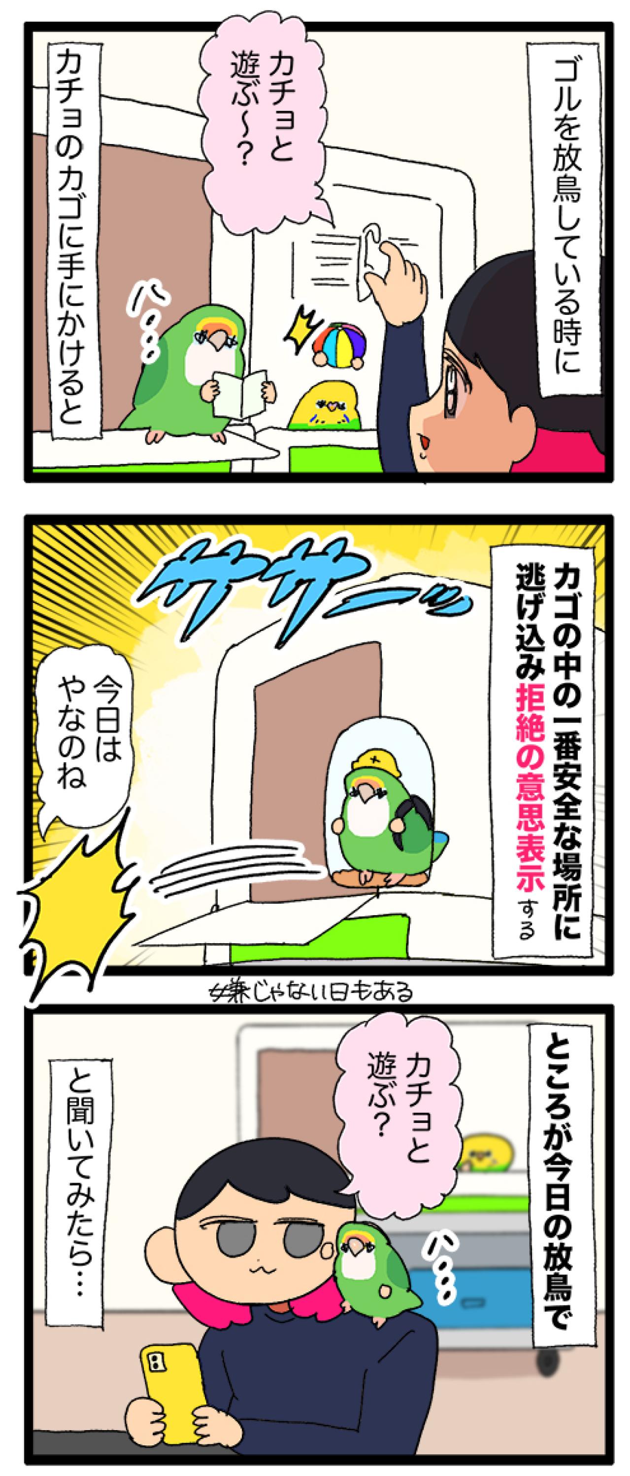 同居インコは断固拒否／女帝インコが好きな旬のフルーツは？【鳥マンガ＃91】（画像4）