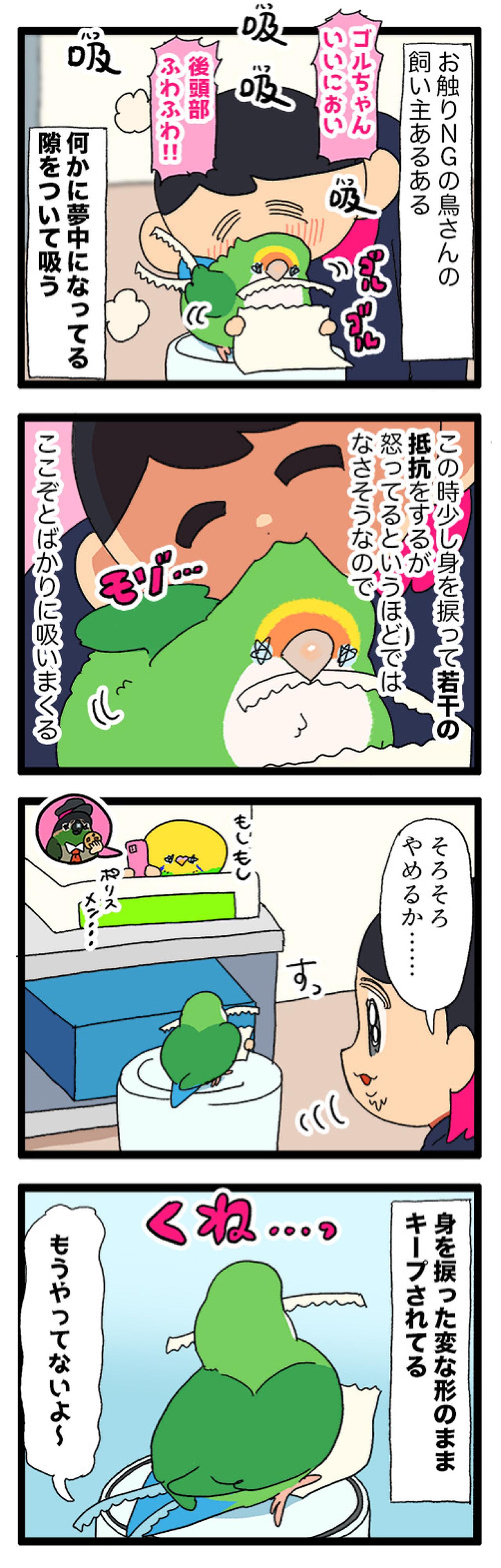 おもちゃ嫌いのインコにブランコで遊んでもらうための仕掛けがすごい！【鳥マンガ＃93】（画像5）