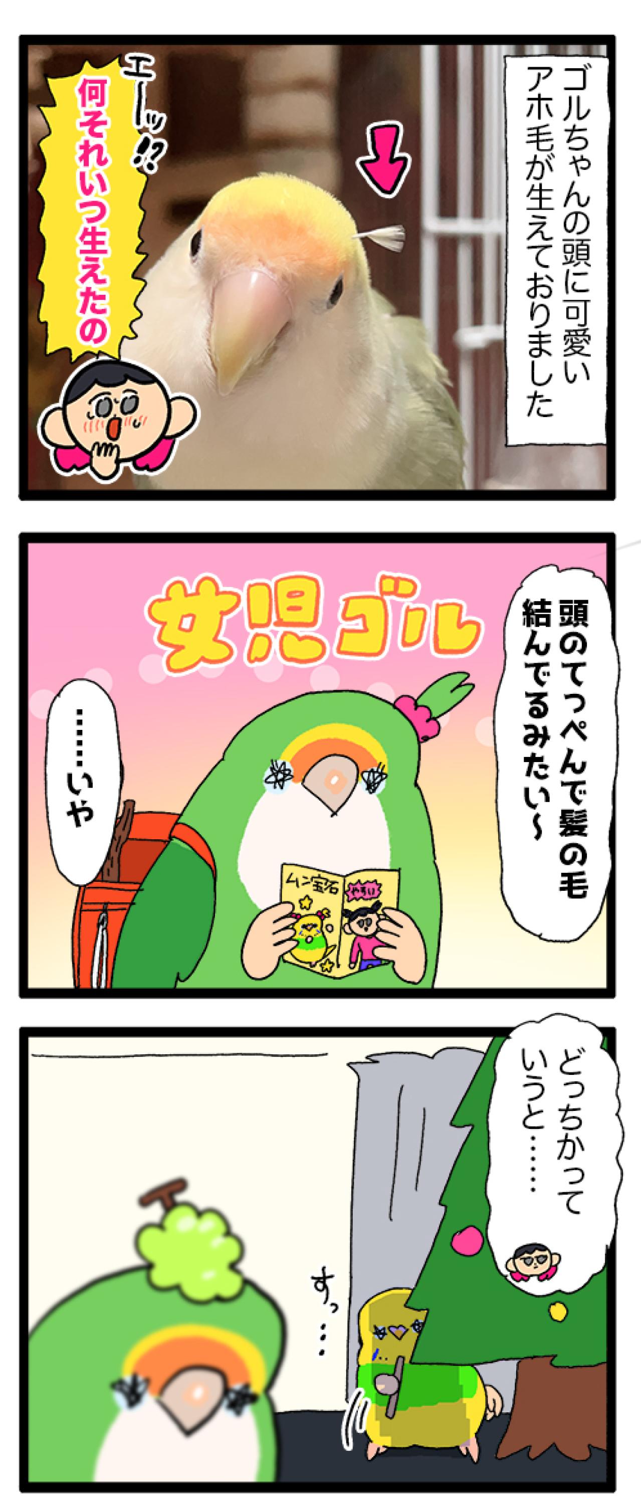 インコが好きそうなおもちゃをリピートしたら…？【鳥マンガ＃92】（画像4）