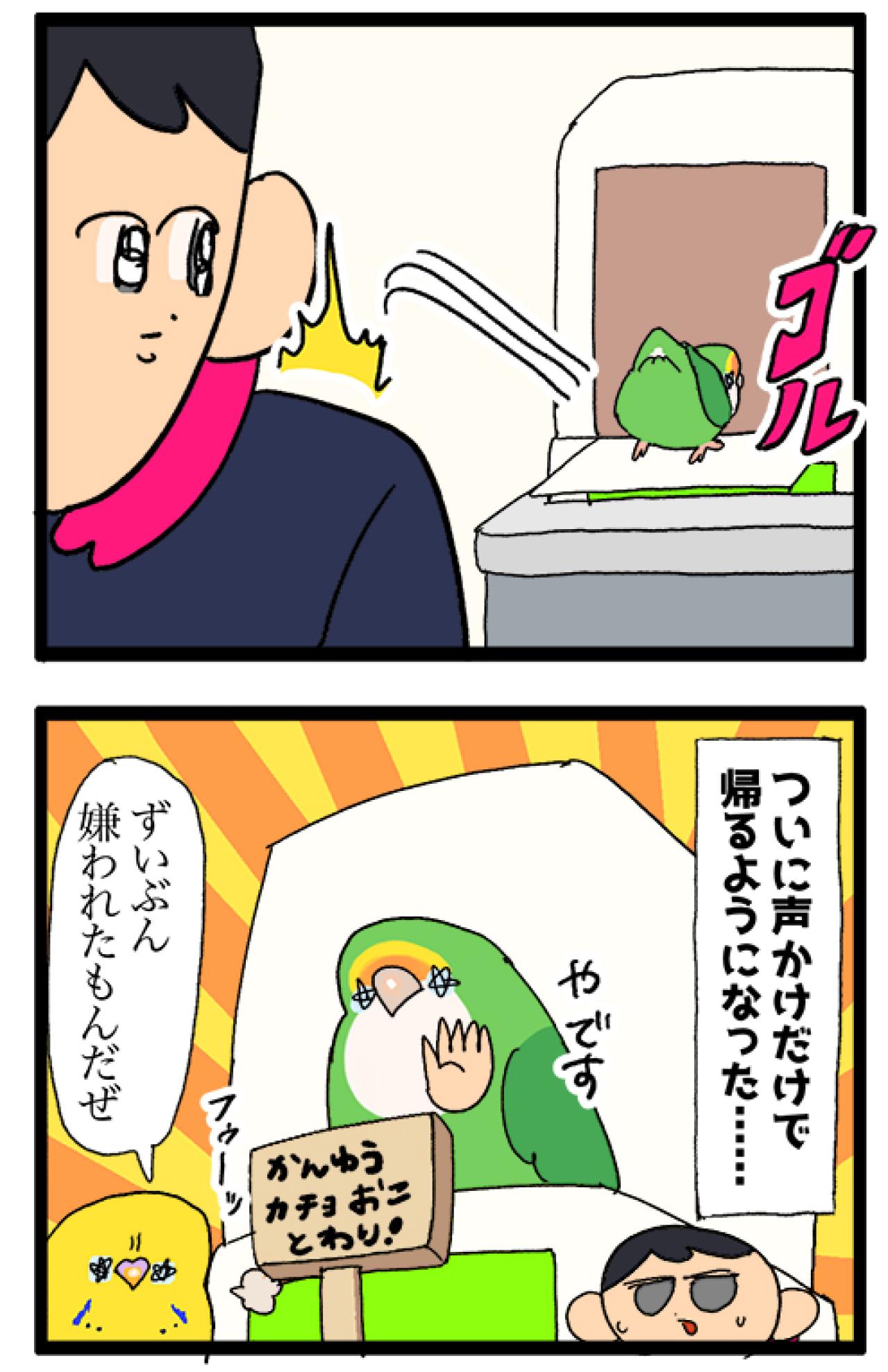 同居インコは断固拒否／女帝インコが好きな旬のフルーツは？【鳥マンガ＃91】（画像5）