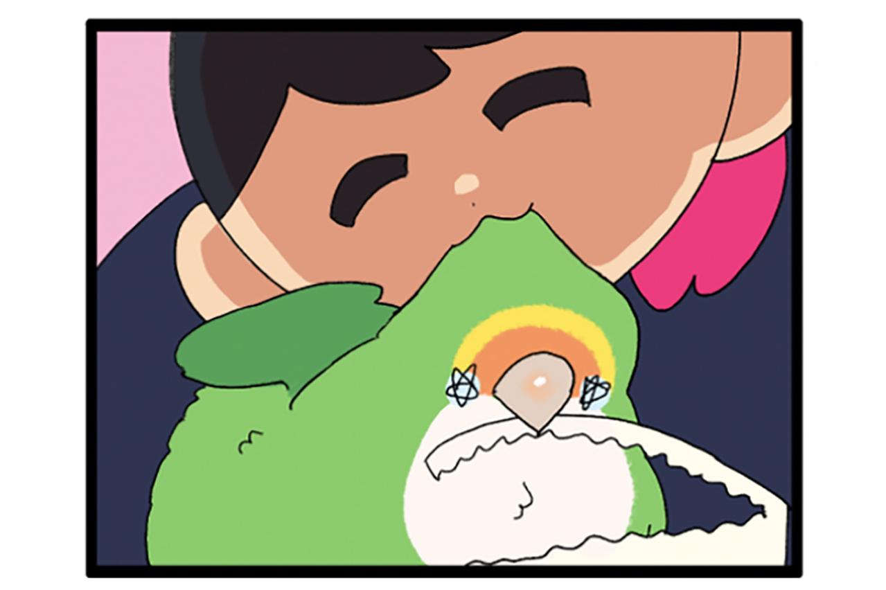 おもちゃ嫌いのインコにブランコで遊んでもらうための仕掛けがすごい！【鳥マンガ＃93】