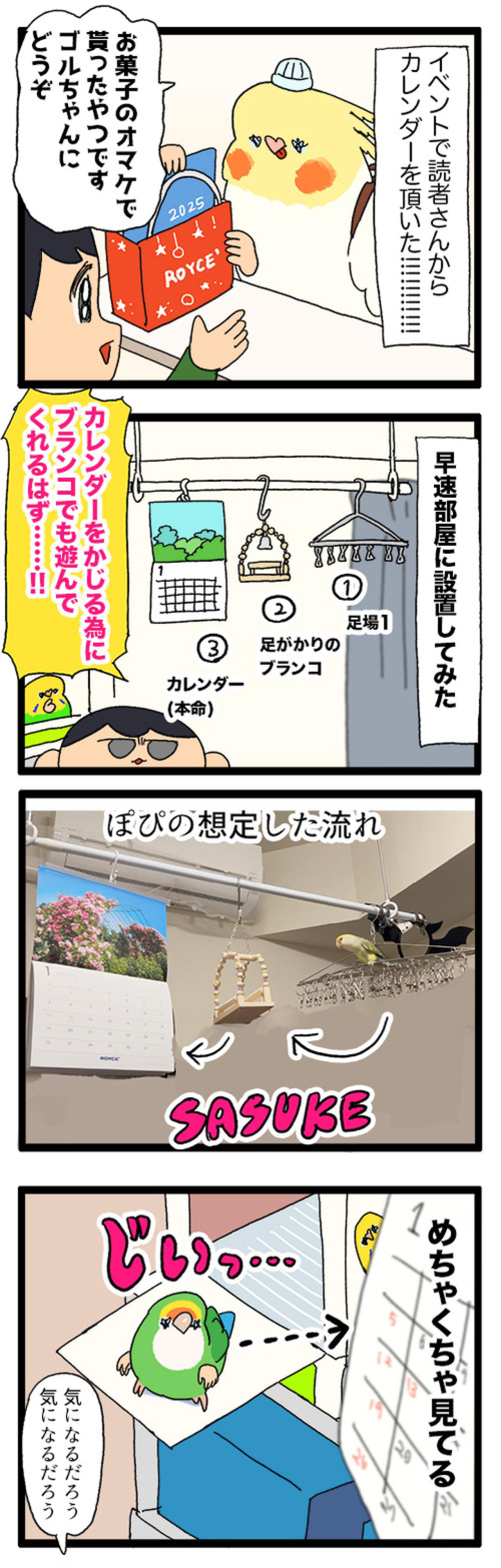 おもちゃ嫌いのインコにブランコで遊んでもらうための仕掛けがすごい！【鳥マンガ＃93】（画像3）