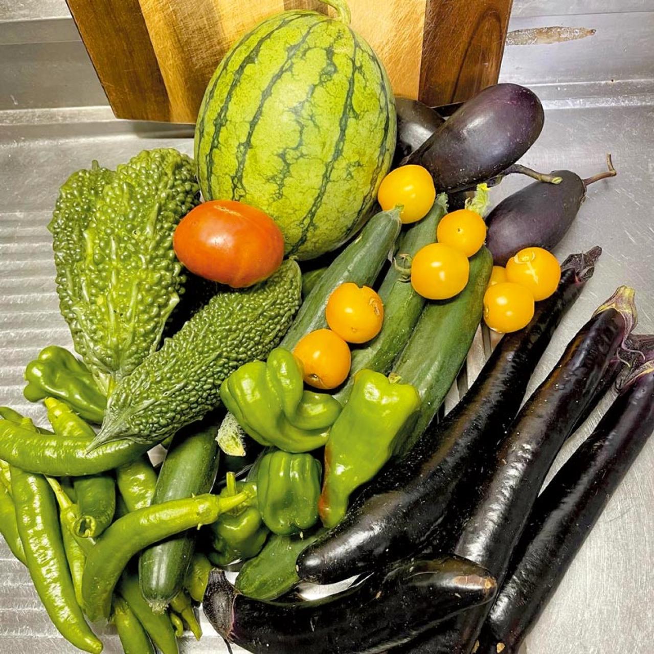 「洗濯物はそれでいいのだ！」家事が断然ラクになるコツ【70歳イラストレーター・本田葉子さん流】（画像4）