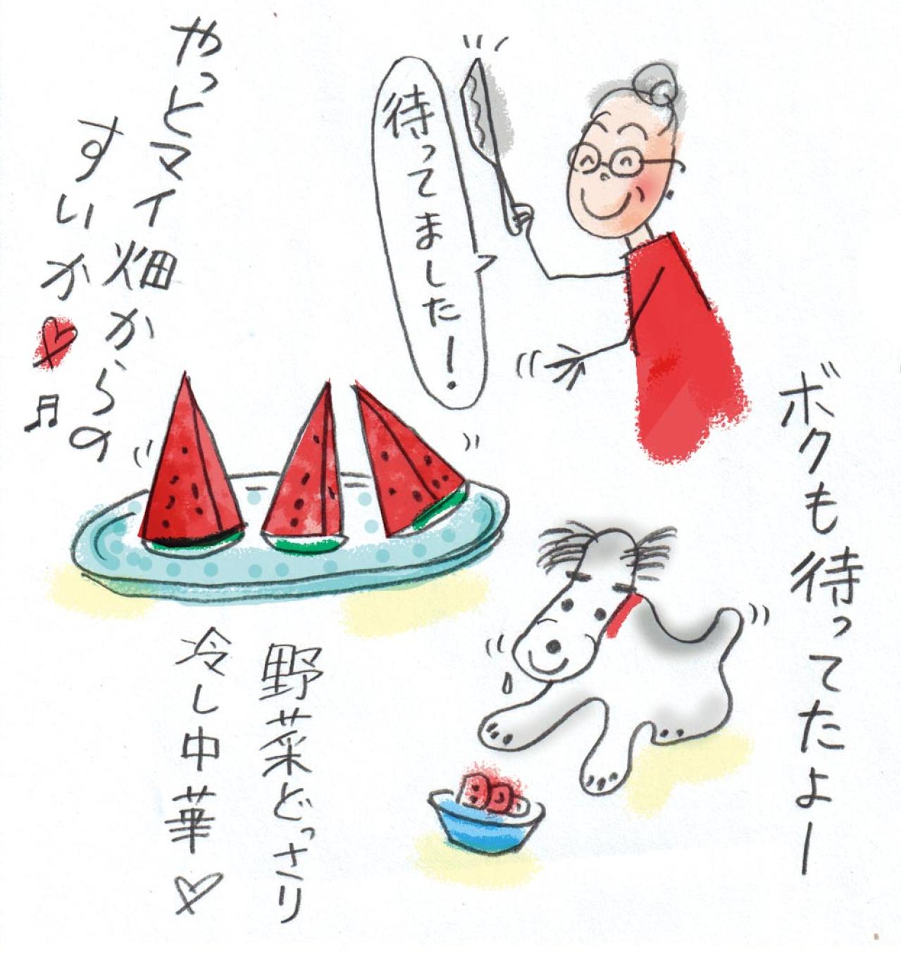 「洗濯物はそれでいいのだ！」家事が断然ラクになるコツ【70歳イラストレーター・本田葉子さん流】（画像3）