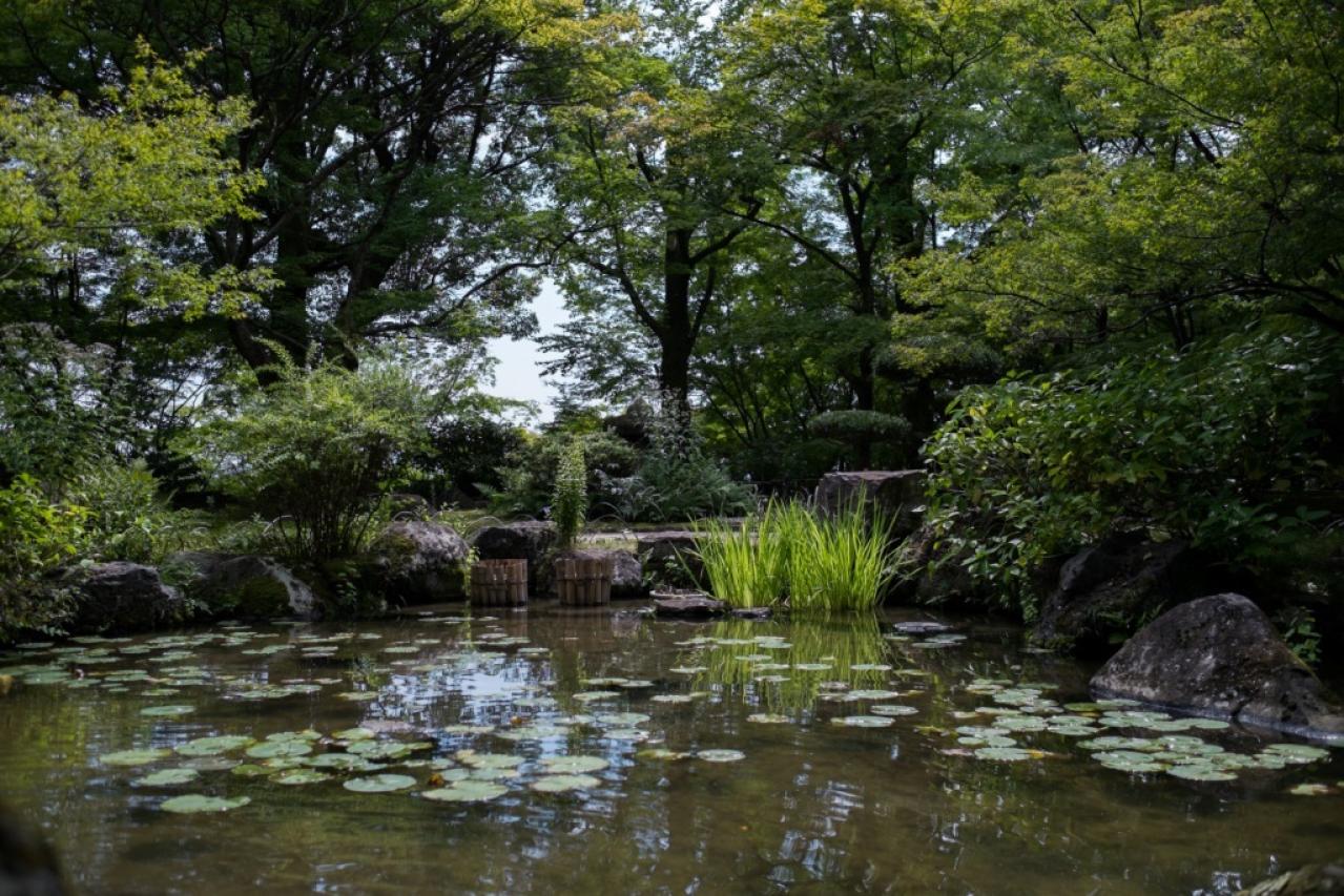 人混みを避けて【小さな美術館】2選。年間750件もの取材をこなすアートライターのおすすめ（画像9）