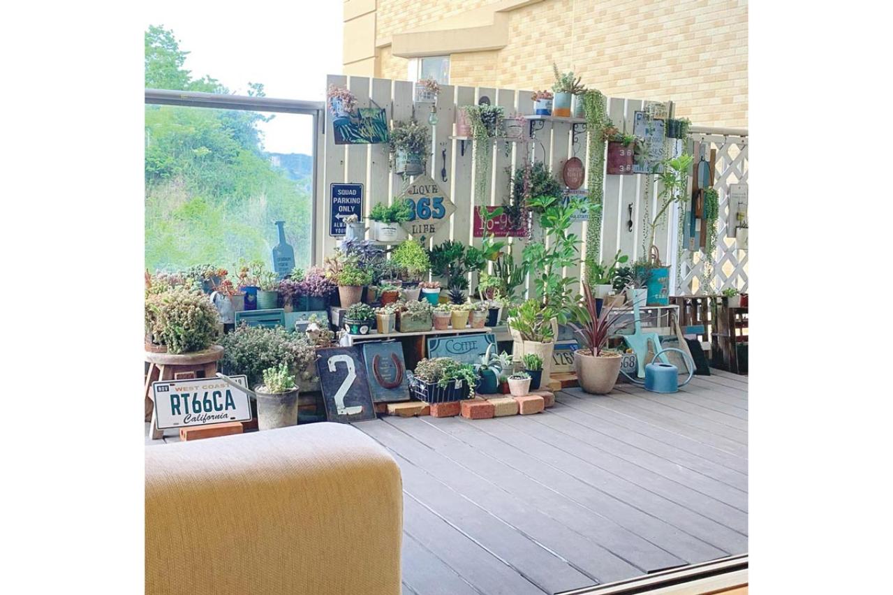 7割枯らした失敗の経験を生かした多肉植物のパラダイス！ベランダガーデンを公開
