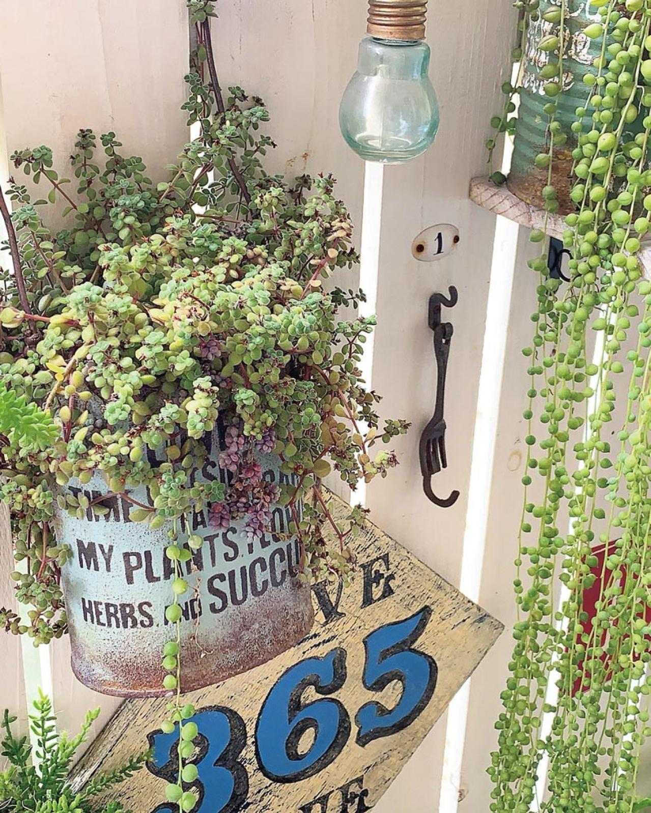 ベランダで多肉植物を育てるコツ！多肉が育ちやすい「3つのゾーン」とは？（画像3）