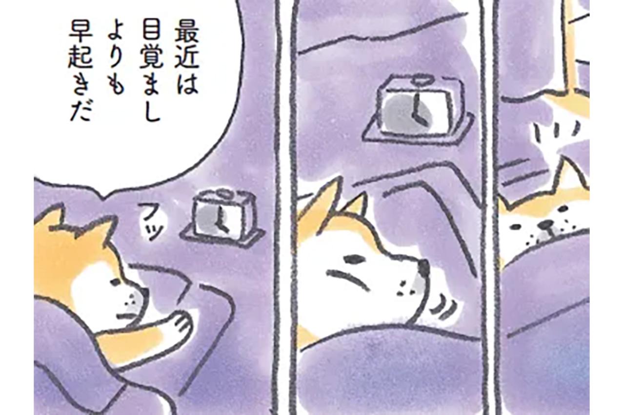 港町を舞台に心温まる人気マンガ『柴犬食堂』が開店！「今日も元気にいただきます」【柴犬食堂#1】