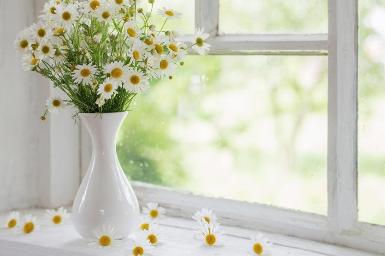 【中道あんさん流】60代ひとり暮らしのサブスクリプション活用＆節約術（画像2）