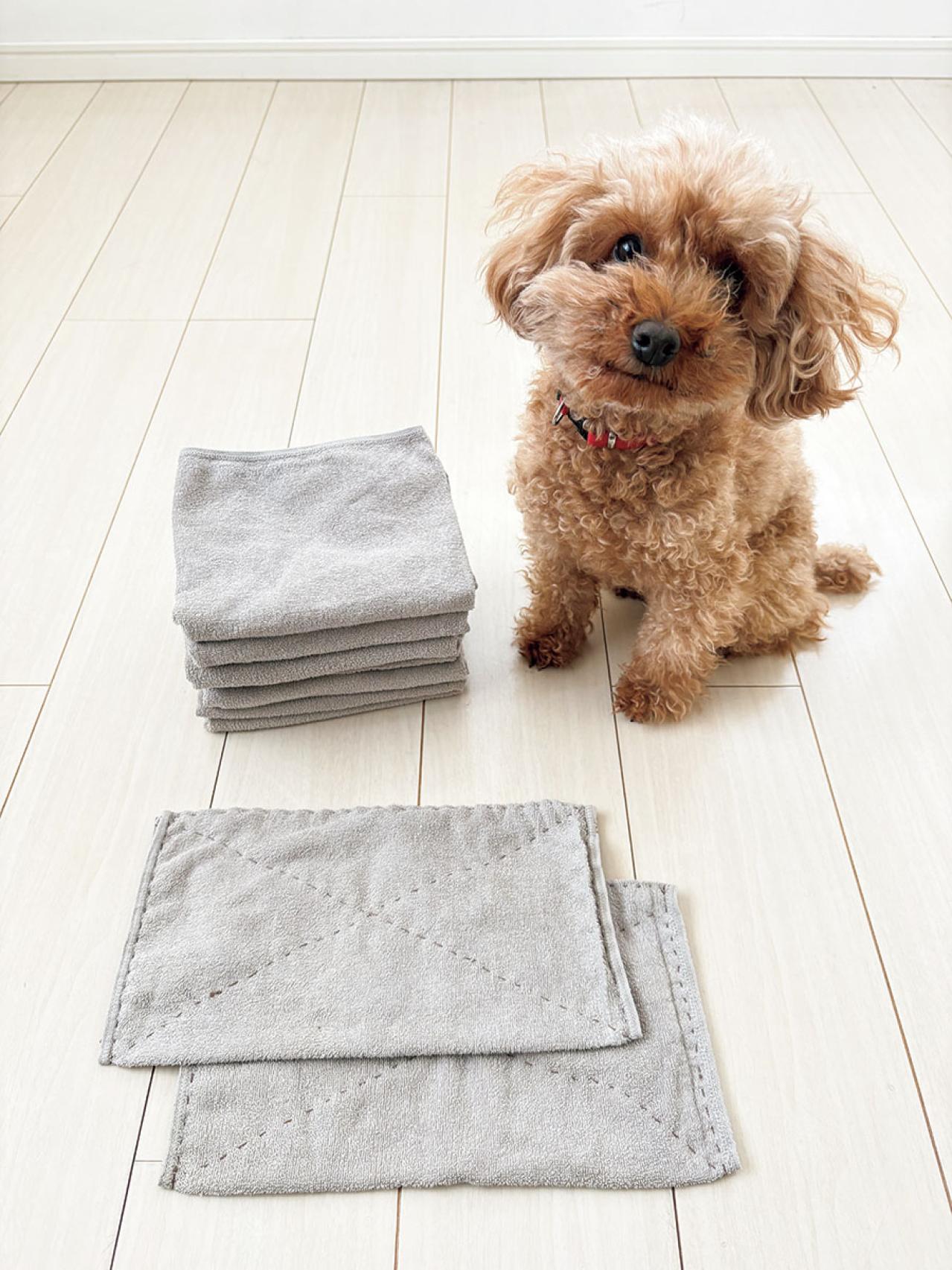 話題の「持たない暮らし」8年目の実践者が語る節約・子育て・シンプルライフの秘訣（画像4）