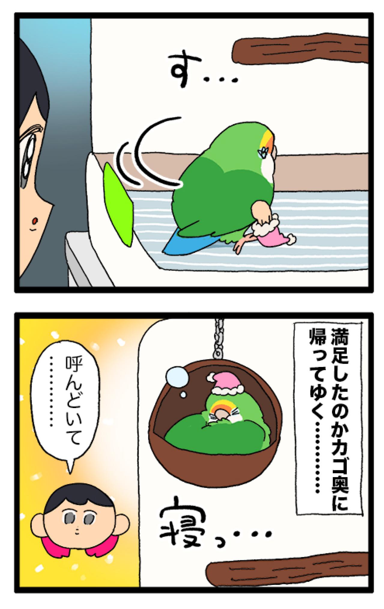 仕事に集中していたときにインコがとった“優しい”行動とは？【鳥マンガ＃97】（画像5）