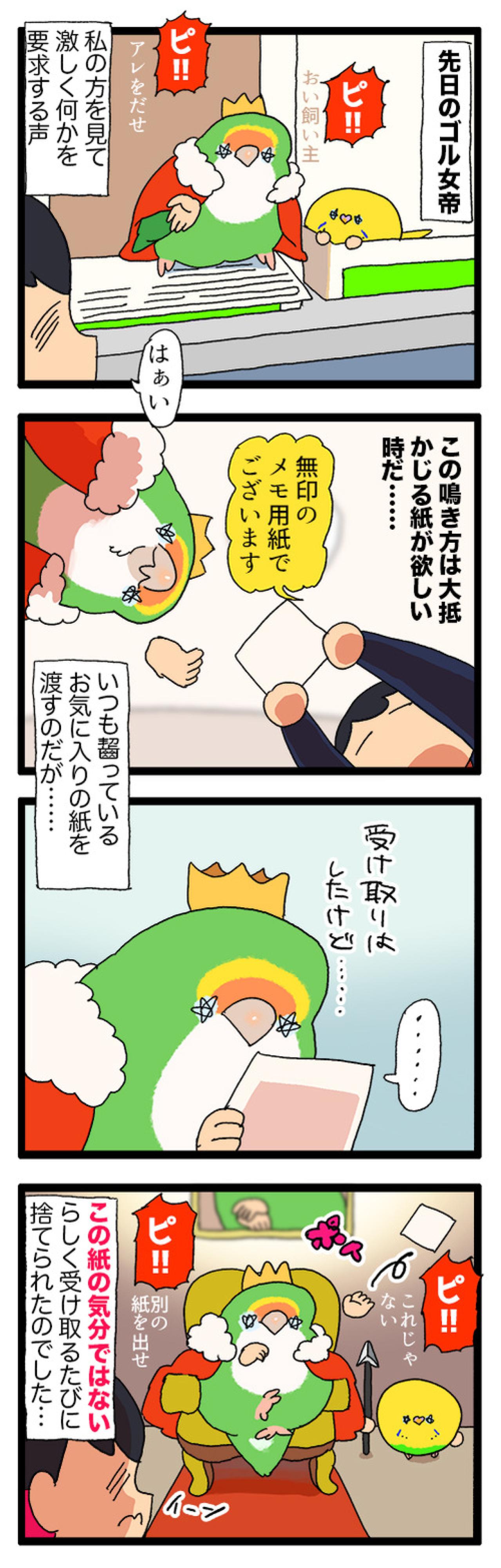 仕事に集中していたときにインコがとった“優しい”行動とは？【鳥マンガ＃97】（画像6）