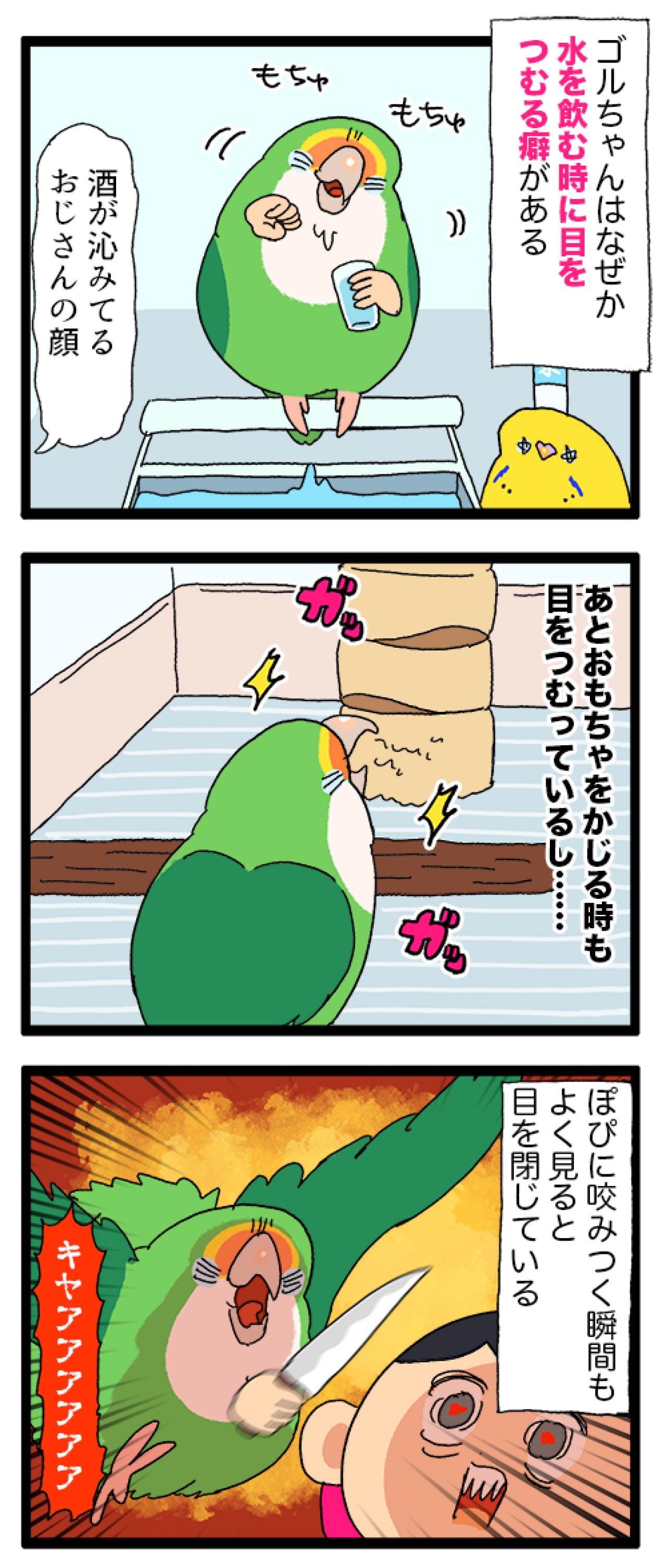 なるほど！コザクラインコ女子は海のギャングに似ている！？【鳥マンガ＃94】（画像6）