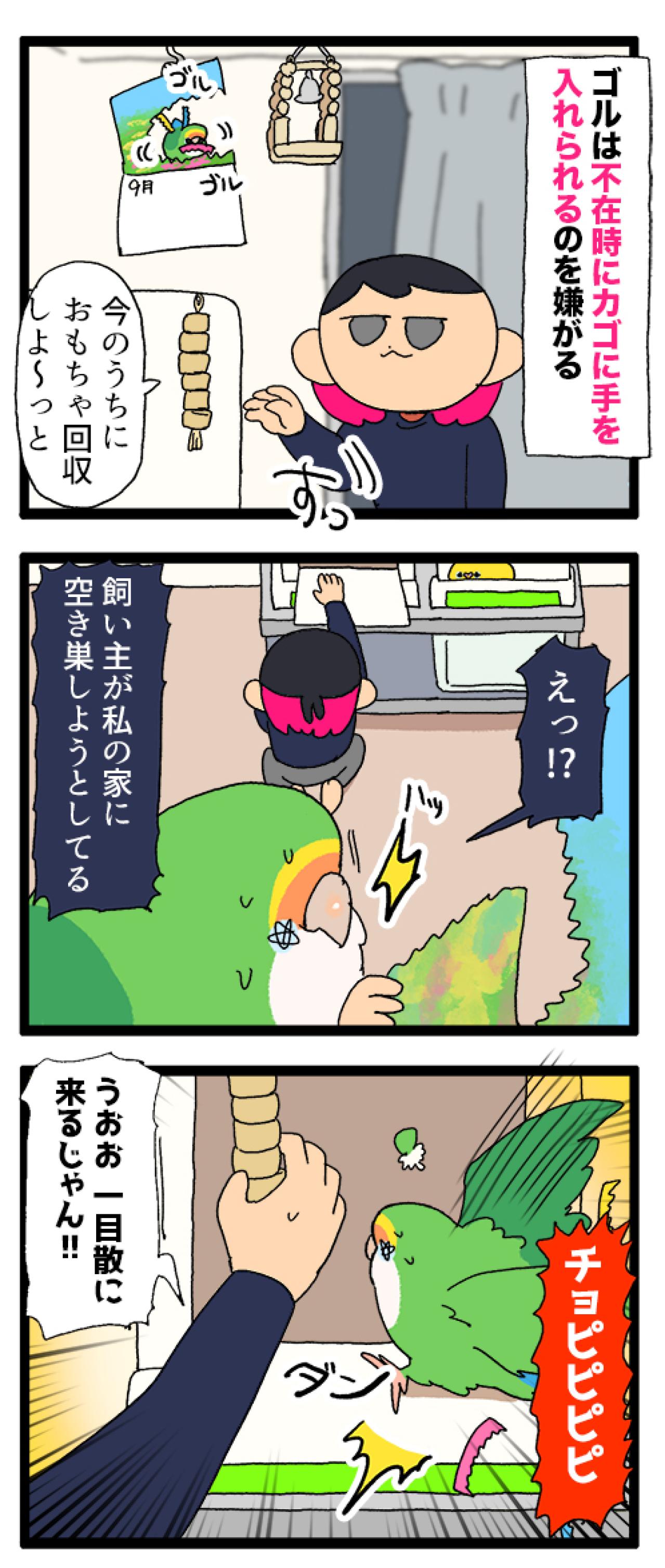 インコに“生殺与奪の権利”をにぎられる飼い主【鳥マンガ＃99】（画像6）