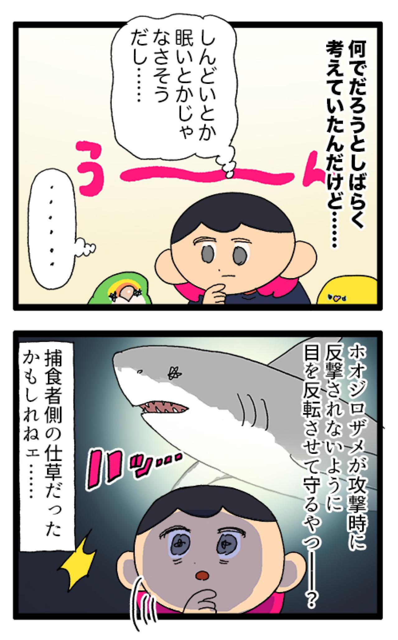 なるほど！コザクラインコ女子は海のギャングに似ている！？【鳥マンガ＃94】（画像7）