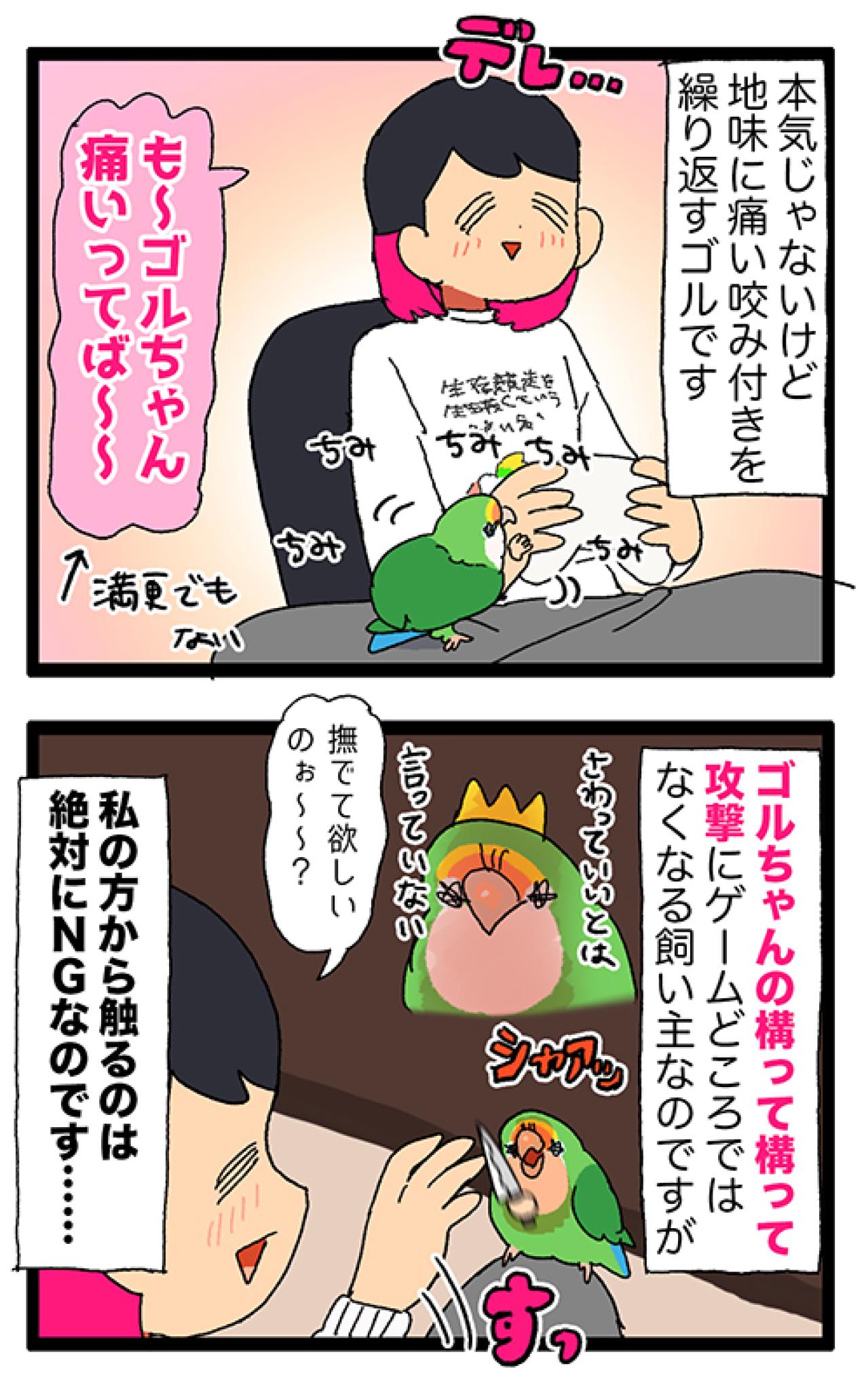 なるほど！コザクラインコ女子は海のギャングに似ている！？【鳥マンガ＃94】（画像5）