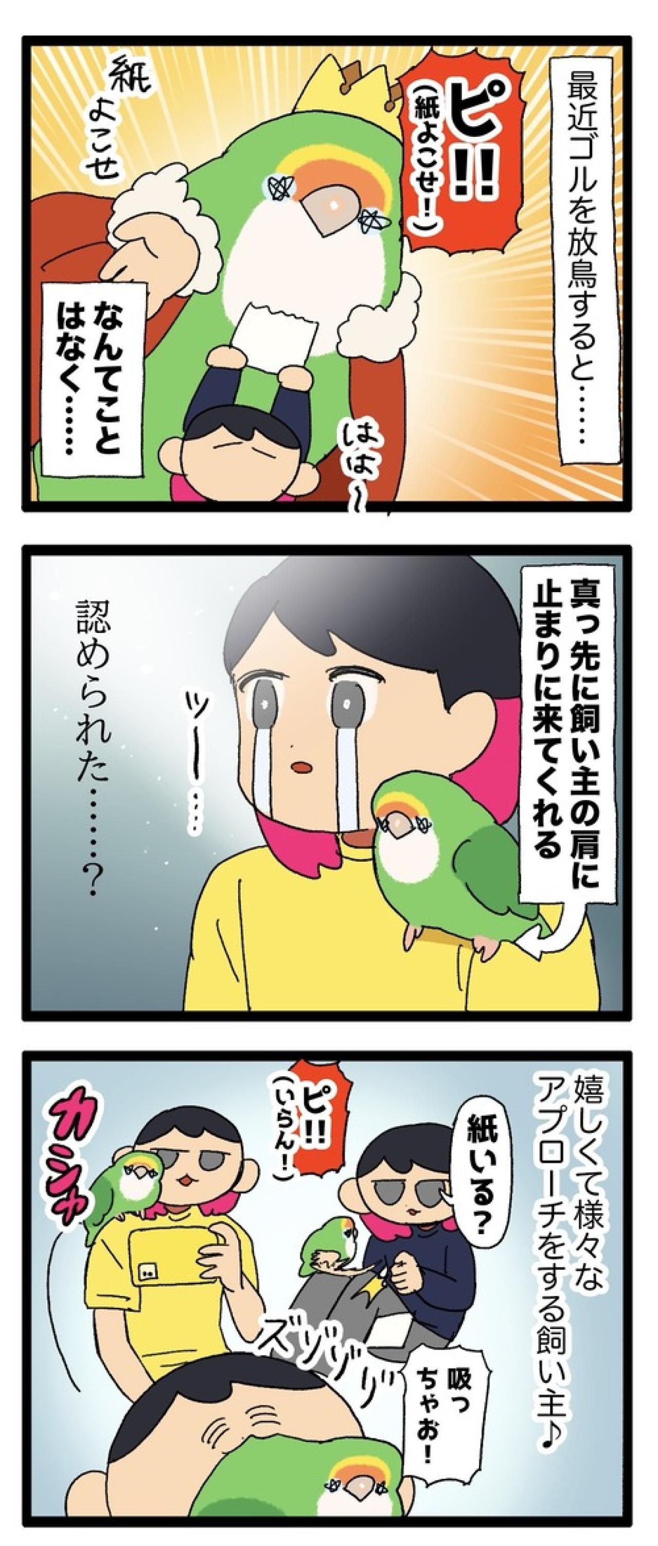 女帝インコのデレ期に飼い主は緊張しまくり【鳥マンガ＃100】（画像5）