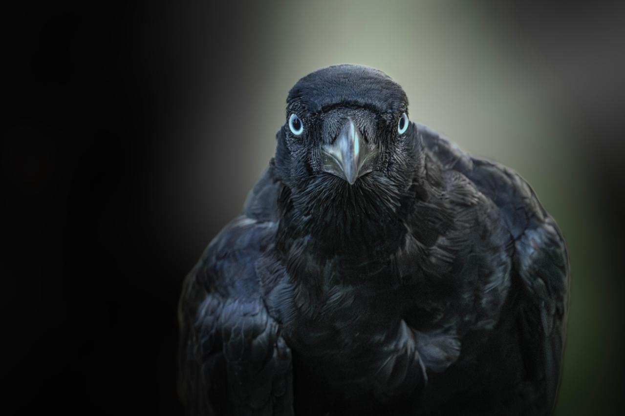 三好達治の『霾』あらすじ紹介。美しい自然描写と孤独を描いた幻想的世界