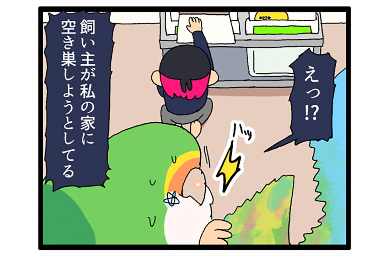 インコに“生殺与奪の権利”をにぎられる飼い主【鳥マンガ＃99】