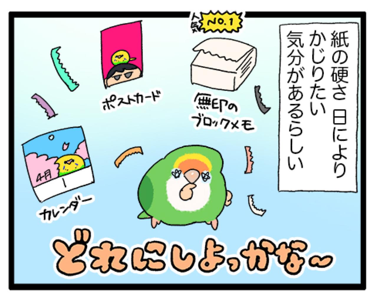 仕事に集中していたときにインコがとった“優しい”行動とは？【鳥マンガ＃97】（画像7）