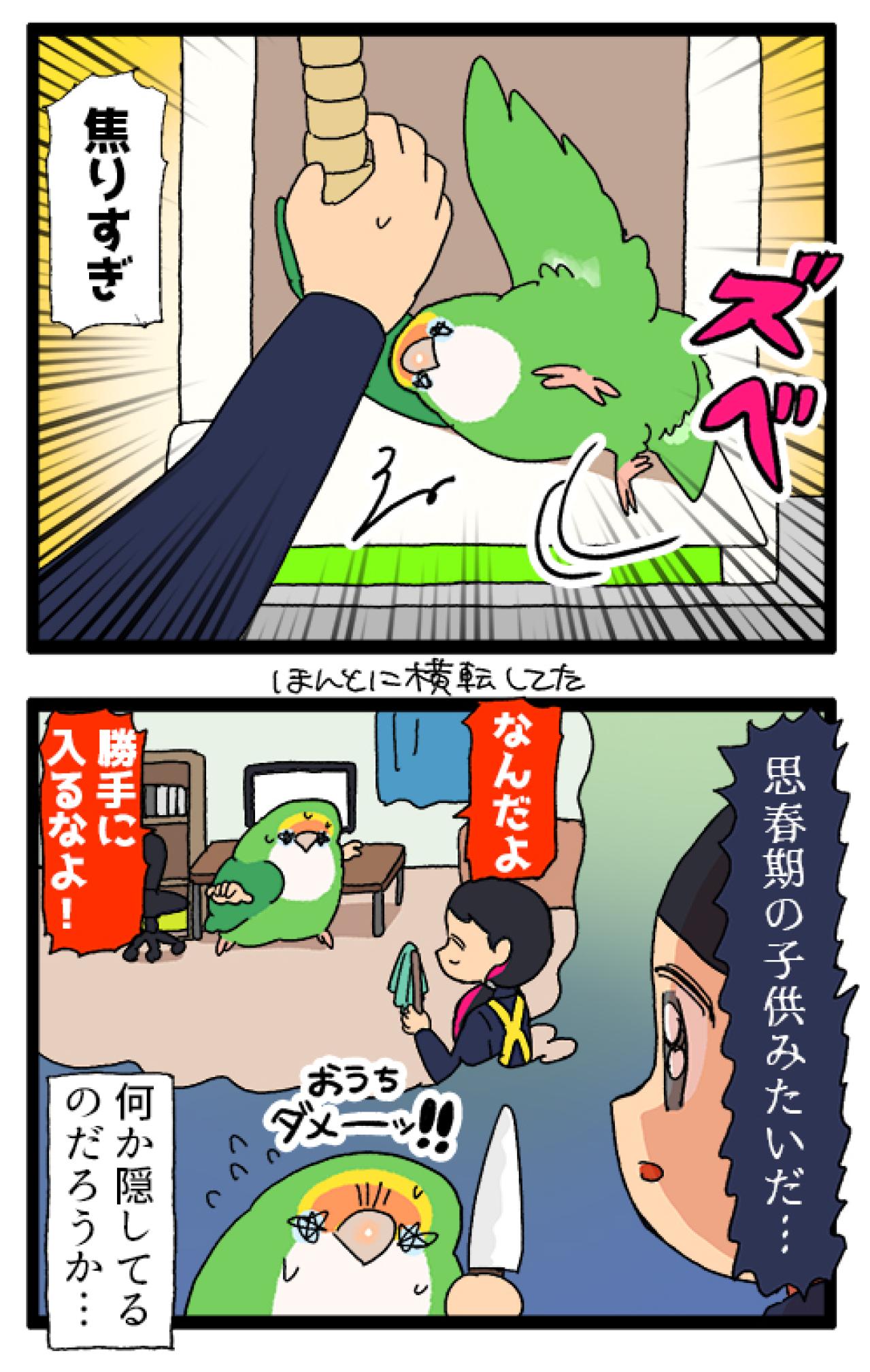 インコに“生殺与奪の権利”をにぎられる飼い主【鳥マンガ＃99】（画像7）