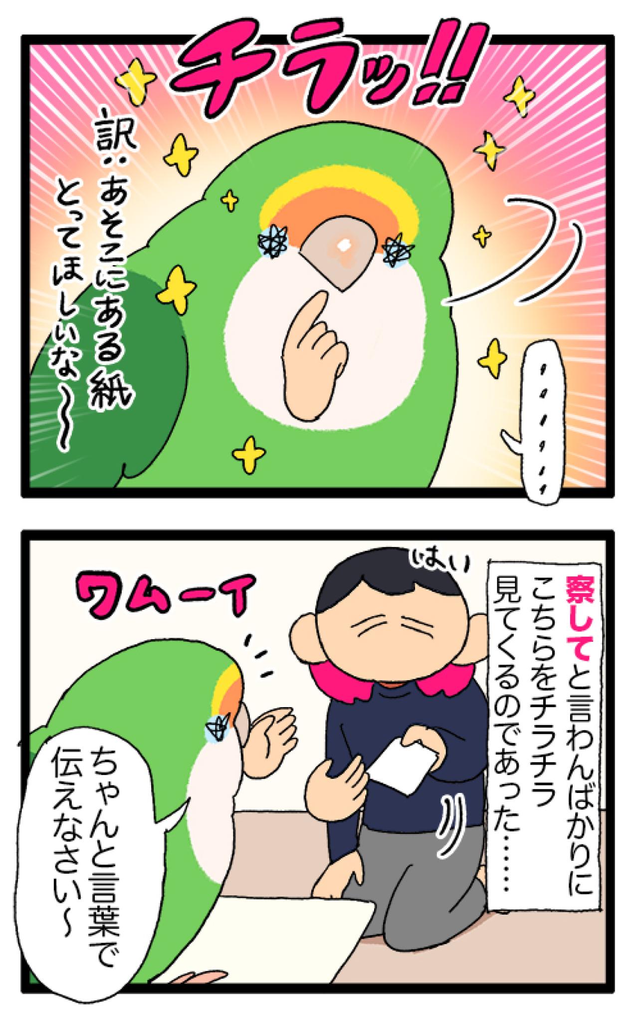 女帝インコの寝相がすごい！／飼い主にはわかってほしい…【鳥マンガ＃96】（画像6）