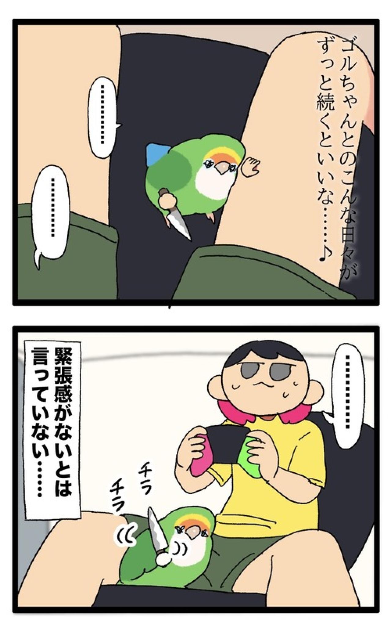 女帝インコのデレ期に飼い主は緊張しまくり【鳥マンガ＃100】（画像6）