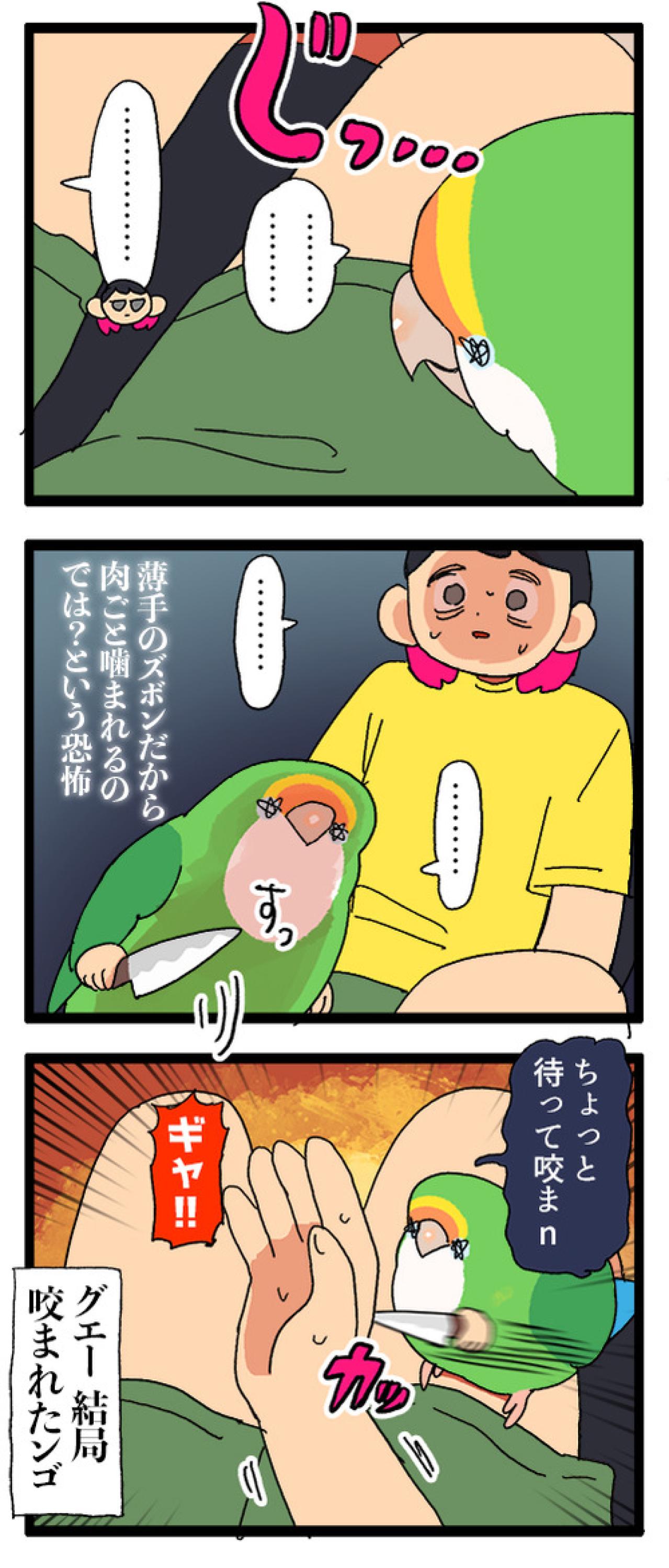 インコに“生殺与奪の権利”をにぎられる飼い主【鳥マンガ＃99】（画像5）