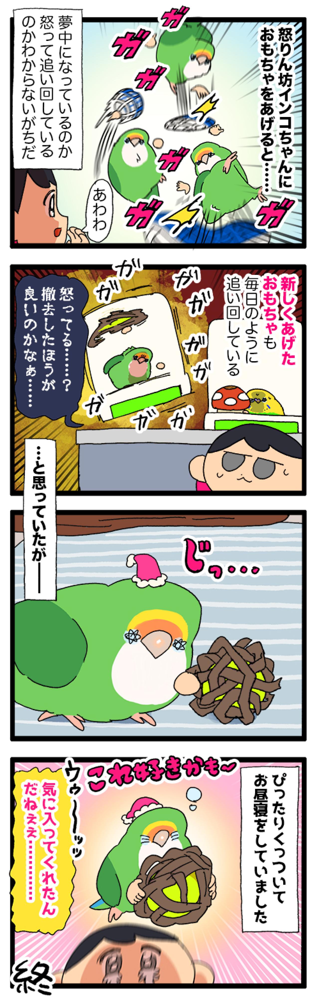 女帝インコのデレ期に飼い主は緊張しまくり【鳥マンガ＃100】（画像4）