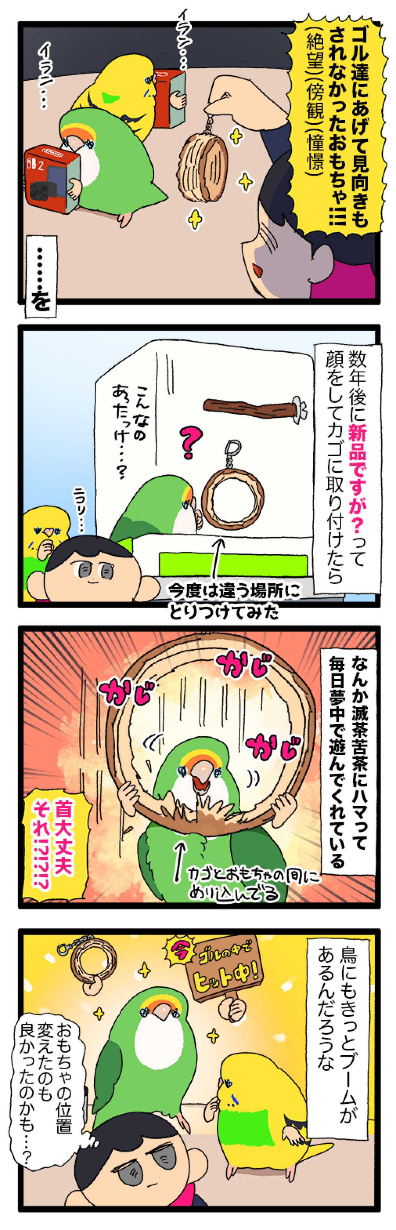 インコのおもちゃブームの秘密！ゴルちゃんが教える意外なトレンド【鳥マンガ＃102】（画像5）