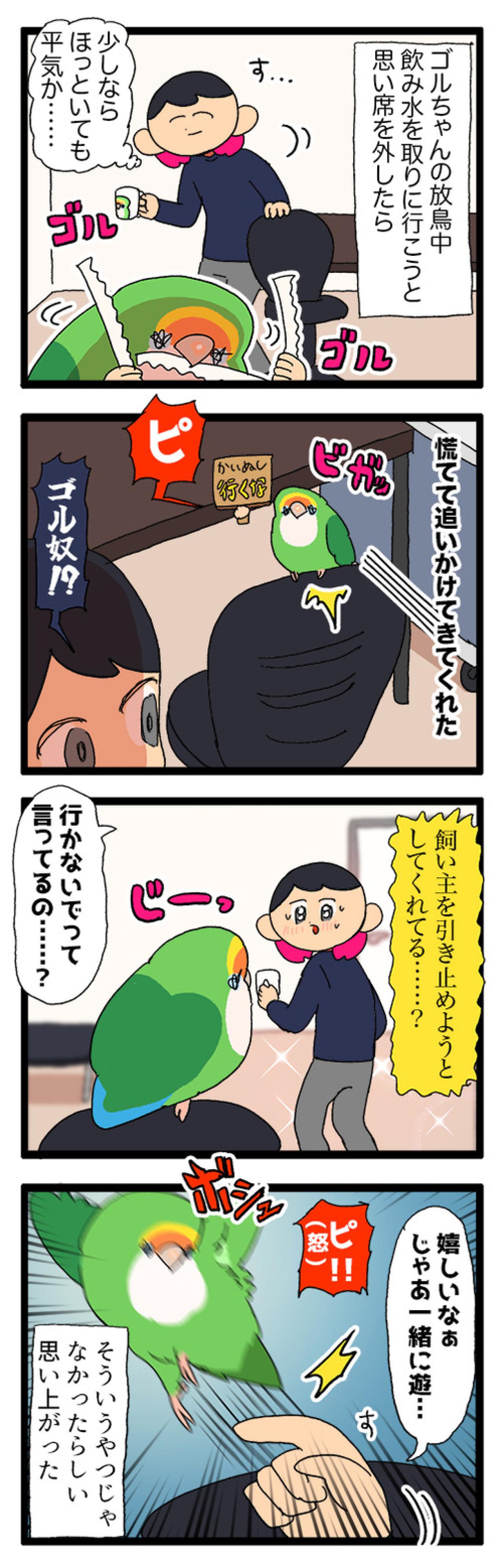 飼い主とインコの恋の駆け引き／その紙は破らせない！【鳥マンガ＃103】（画像4）