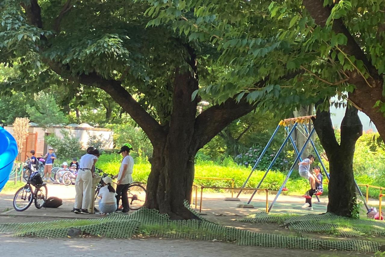 「持ち家」から「賃貸マンション」へ！シニア女性が語る住み替えのホンネと暮らし（画像11）