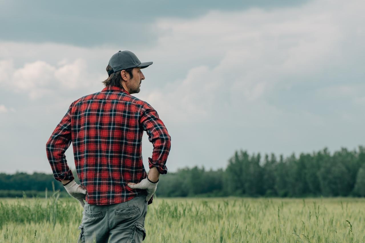 宮本百合子の『労働者農民の国家とブルジョア地主の国家』あらすじ紹介。労働者にとっての理想社会とは？