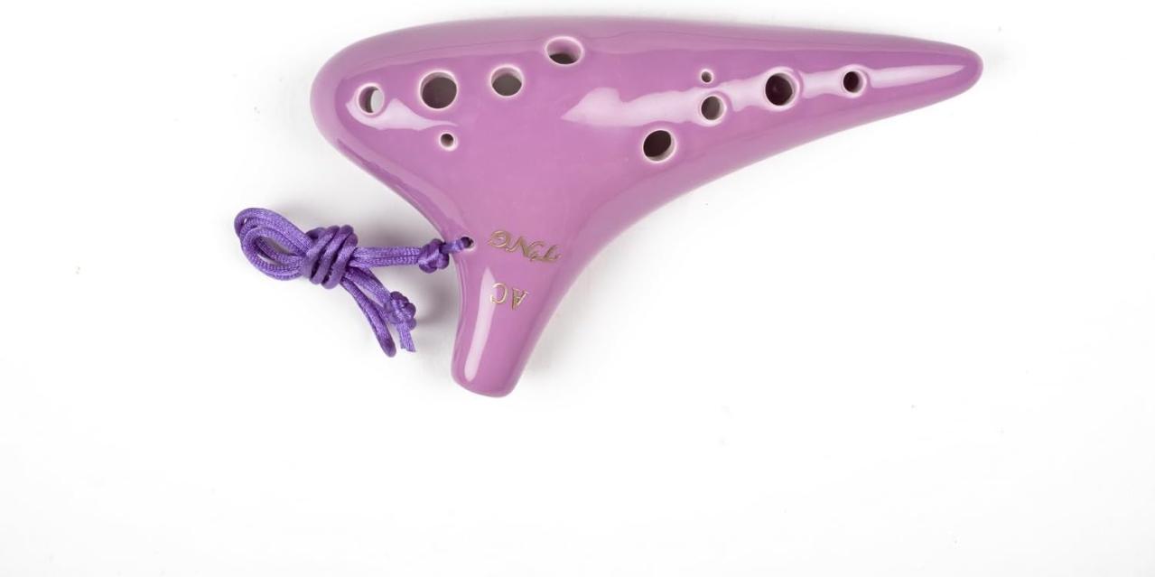 【趣味で始める楽器】バイオリン、電子ピアノ、オカリナ【最大20％OFF】初心者用セットで始めよう！【Amazonタイムセール】（画像3）