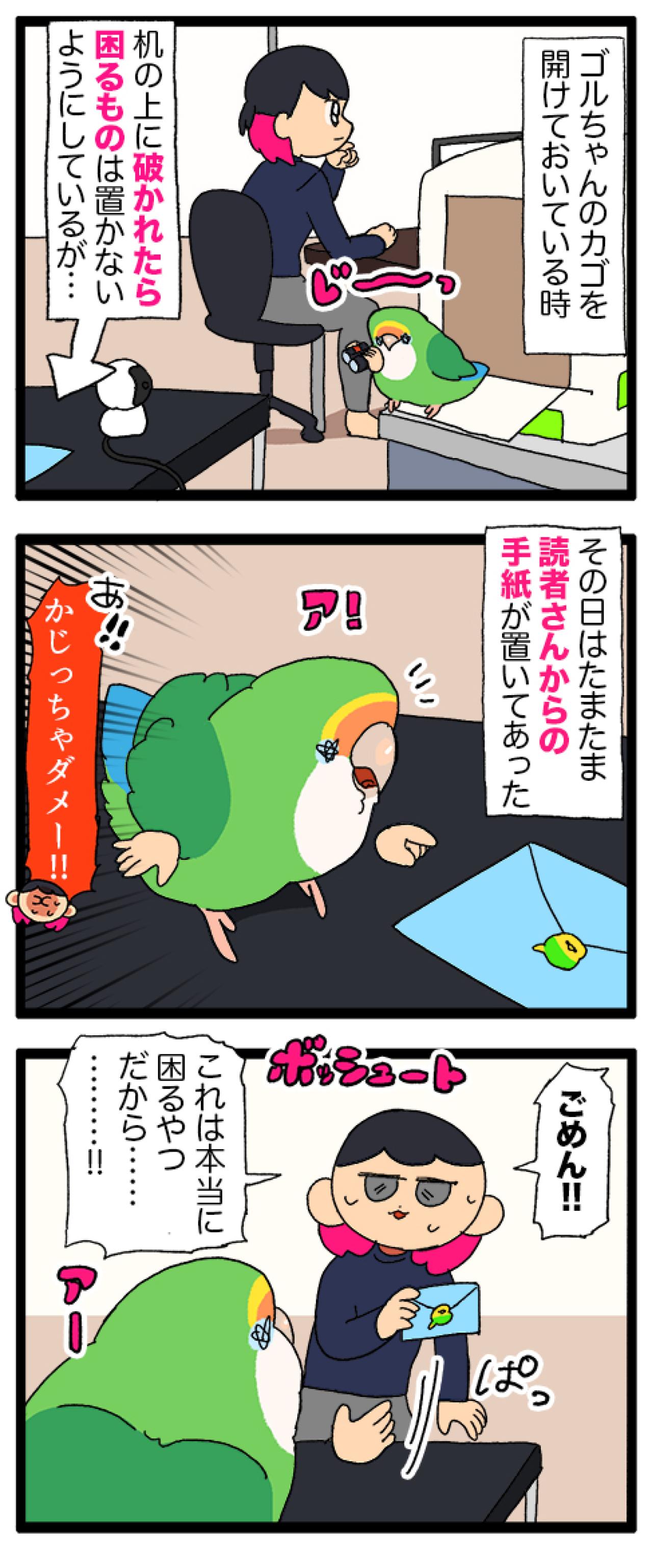 飼い主とインコの恋の駆け引き／その紙は破らせない！【鳥マンガ＃103】（画像6）