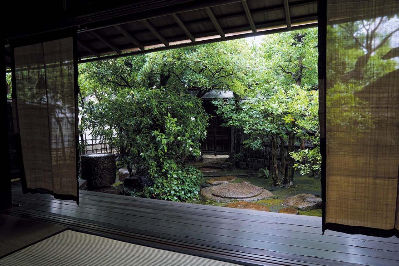 「そうだ 京都、行こう。」CM舞台の秘話！「杉本家住宅」と「妙心寺天球院」で非日常に出会う