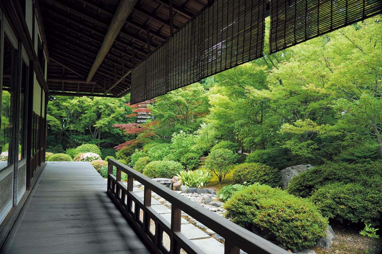 「そうだ 京都、行こう。」CM舞台の秘話！「杉本家住宅」と「妙心寺天球院」で非日常に出会う（画像5）
