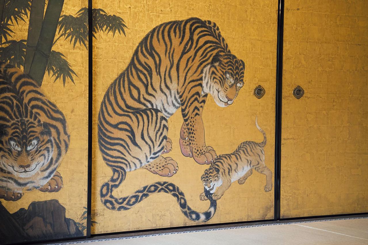 「そうだ 京都、行こう。」CM舞台の秘話！「杉本家住宅」と「妙心寺天球院」で非日常に出会う（画像6）