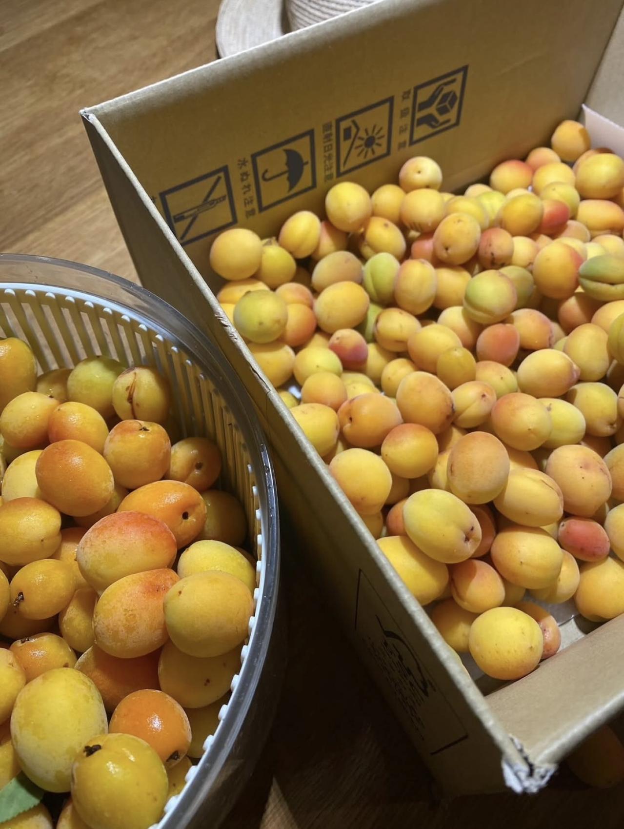 【熊谷真実さん・65歳】浜松に移住後に離婚そして再々婚も！移住成功の2つの秘訣とは？（画像6）