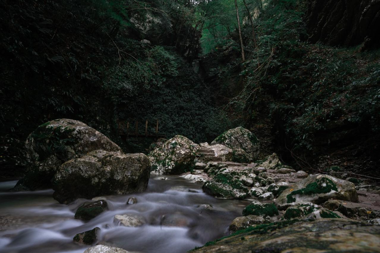 岡本かの子の『呼ばれし乙女』あらすじ紹介。夢と現実が交錯する人間関係の葛藤