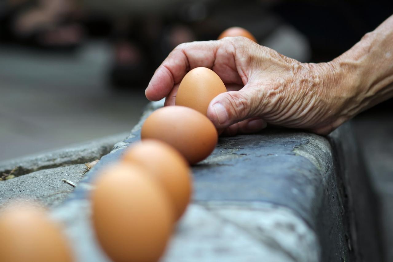 中谷宇吉郎の『立春の卵』あらすじ紹介。卵が立つのはなぜ？科学と人類の盲点を読み解く方法
