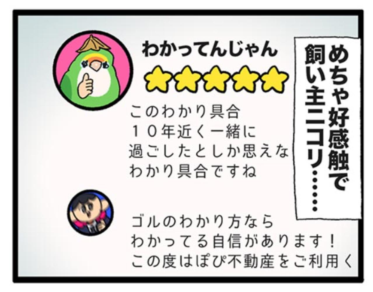 2025年も早々に終了！？インコ「カレンダー事件」【鳥マンガ＃101】（画像7）