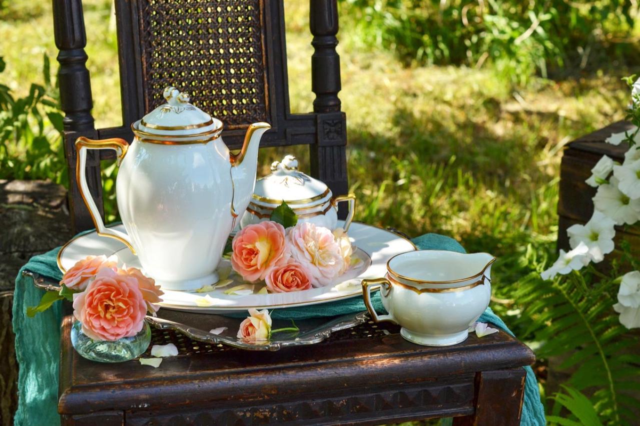 【ガーデニング】高温、豪雨、台風からバラを守る方法！ 摘蕾や元肥で厳しい季節を乗り切ろう